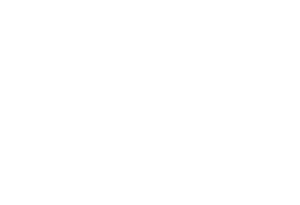 logo tranchesi e mac